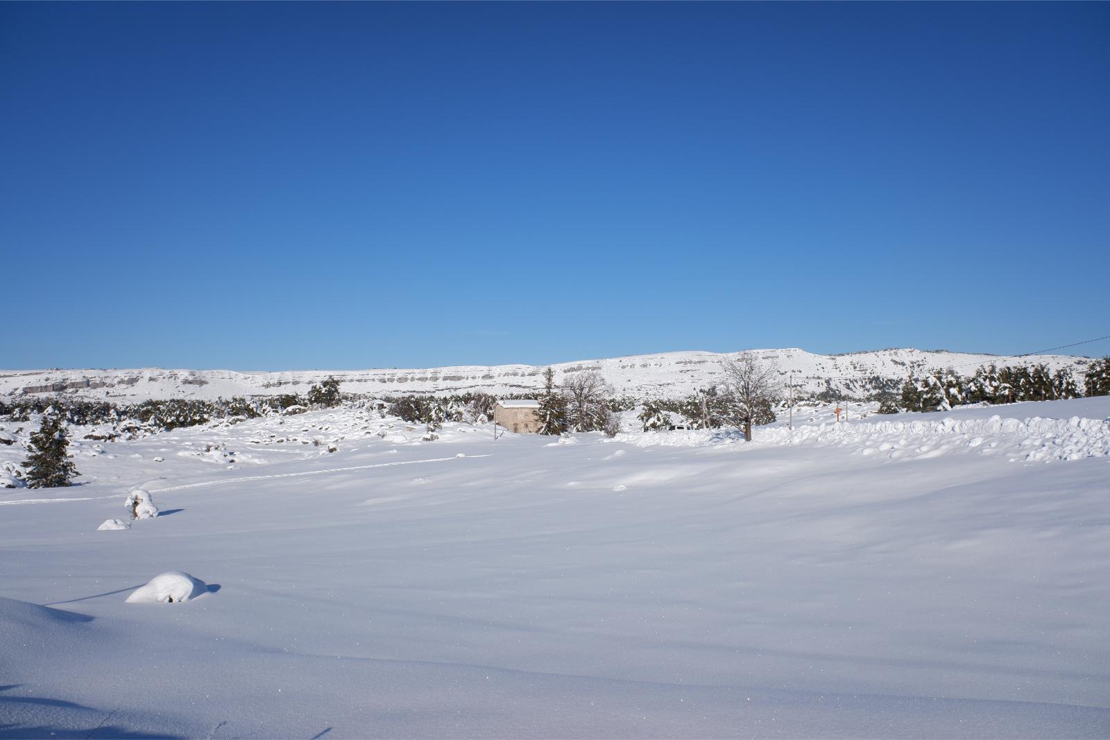 Friday January 8th 2021, Plateau de Caussols, South of France, Altidude 1100m(3,600ft) A cold Winter's Day