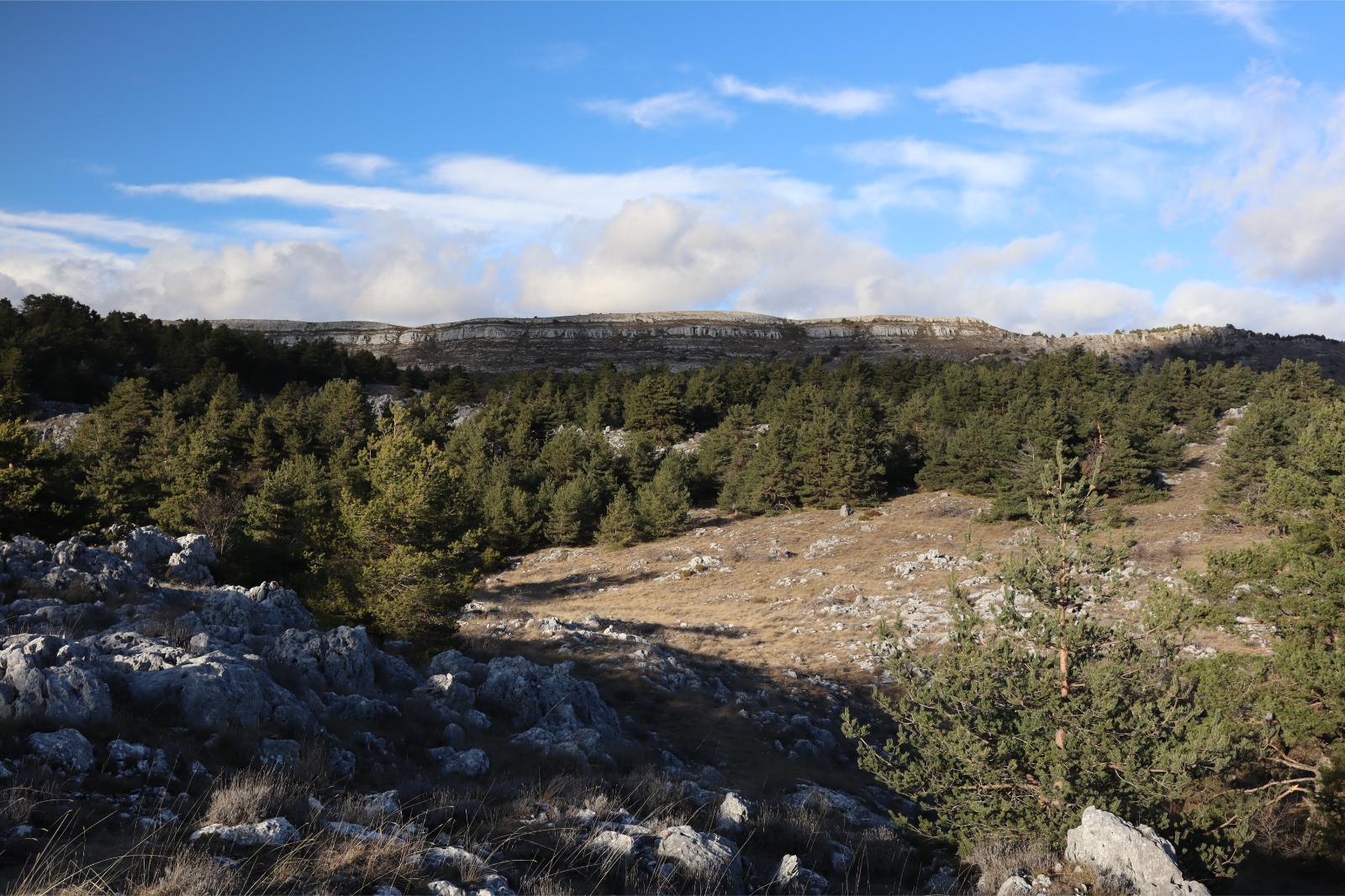 Thursday January 18th 2024, Plateau de Caussols, South of France, Altidude 1100m(3,600ft) Lovely Winter Day