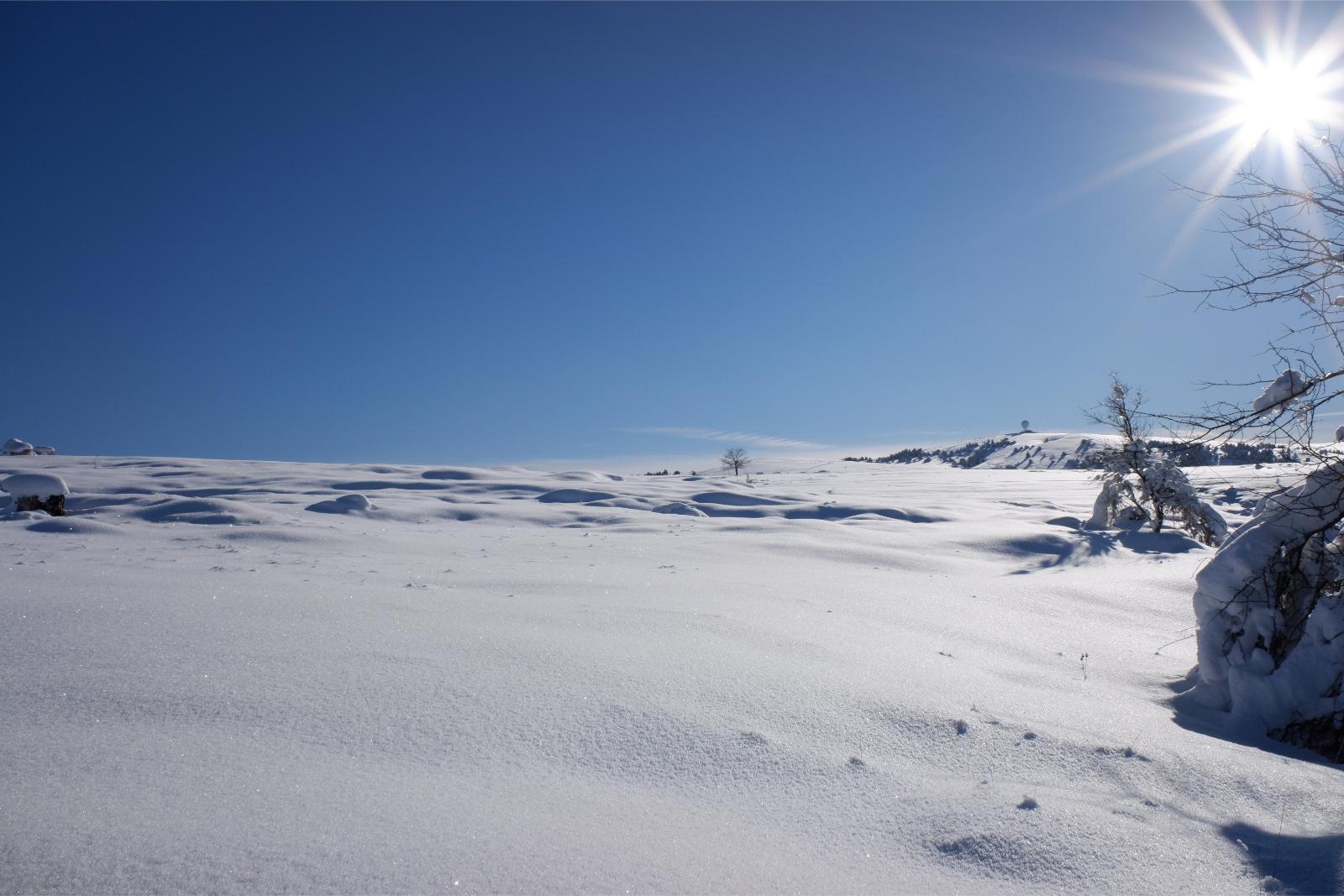 Friday January 8th 2021, Plateau de Caussols, South of France, Altitude 1100m(3,600ft) A cold Winter's Day